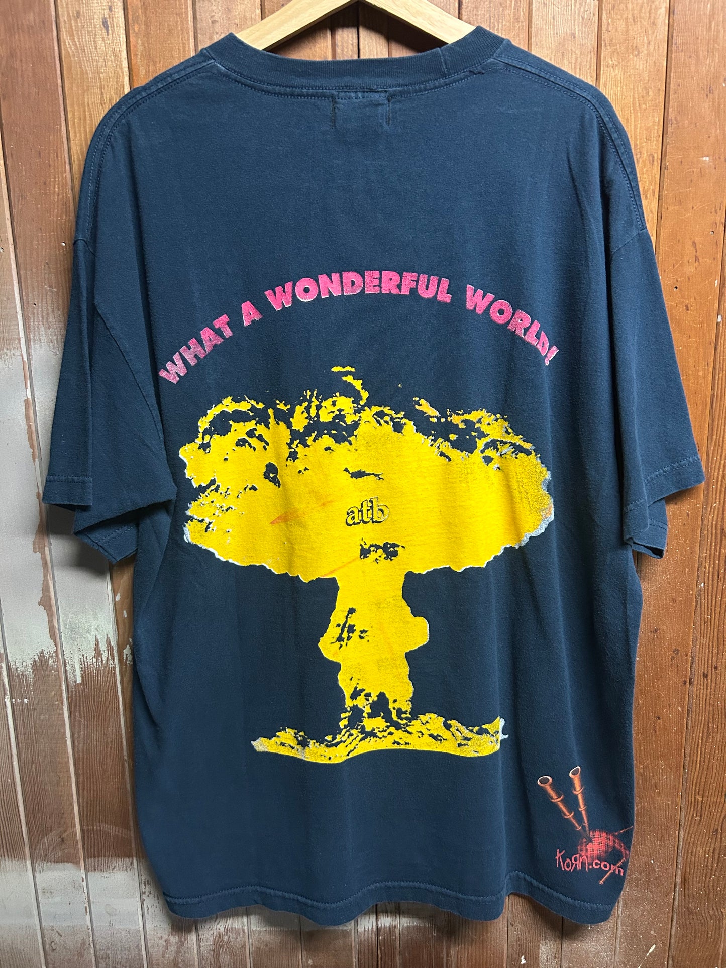 Korn’s Wonderful World