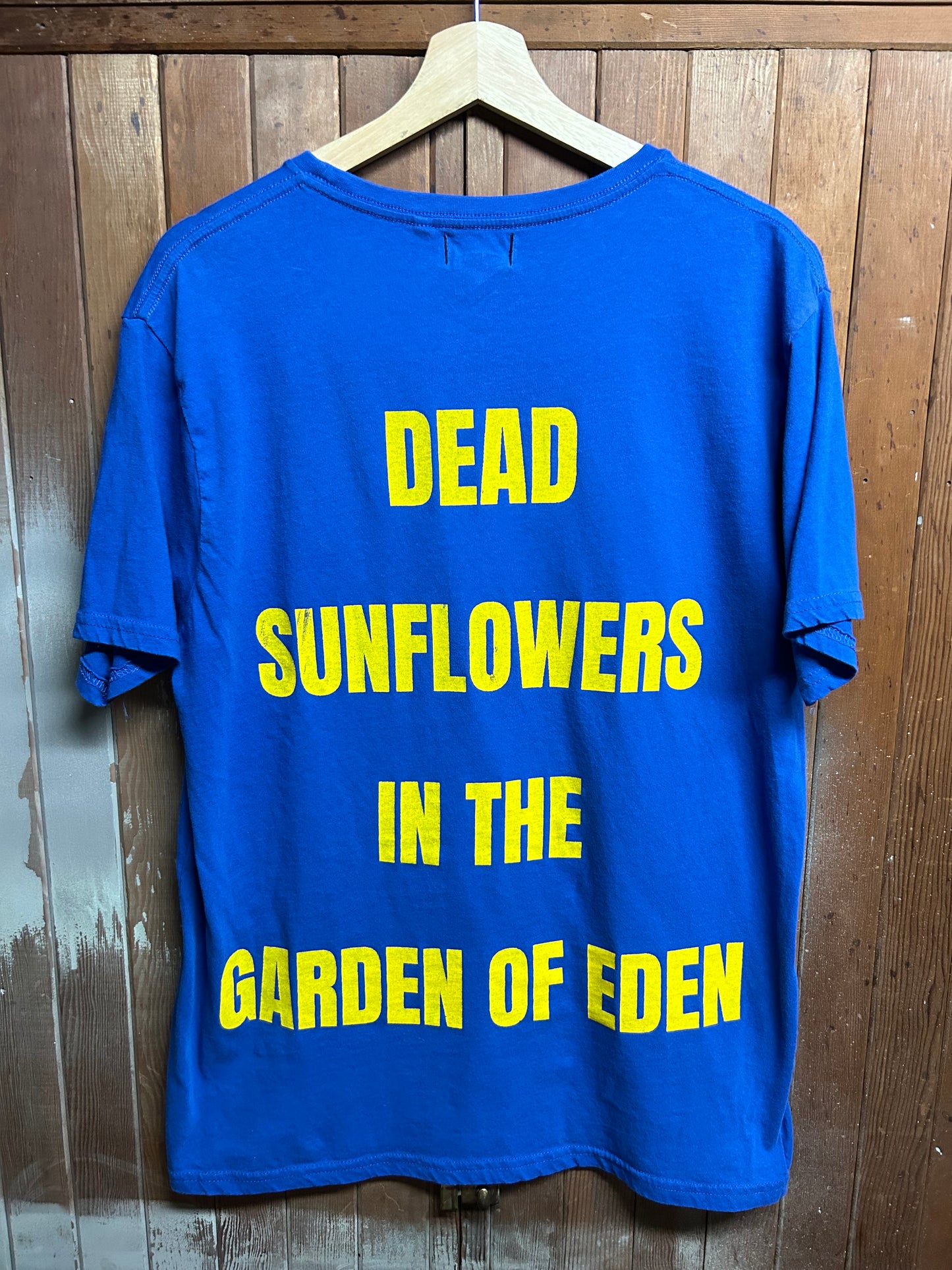 Dead Sunflowers