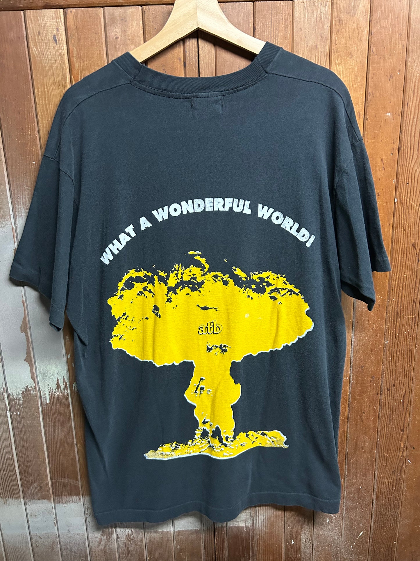 What a Wonderful World