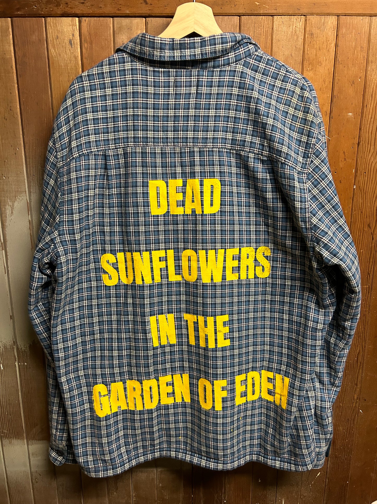 Dead Sunflowers