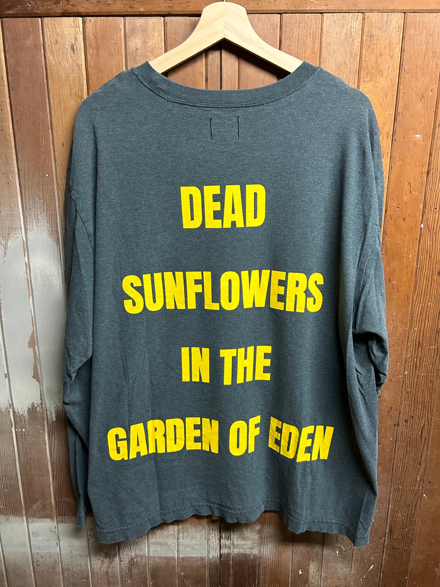 Dead Sunflowers