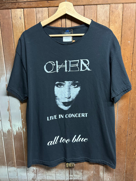 Cher Feels The Freedom