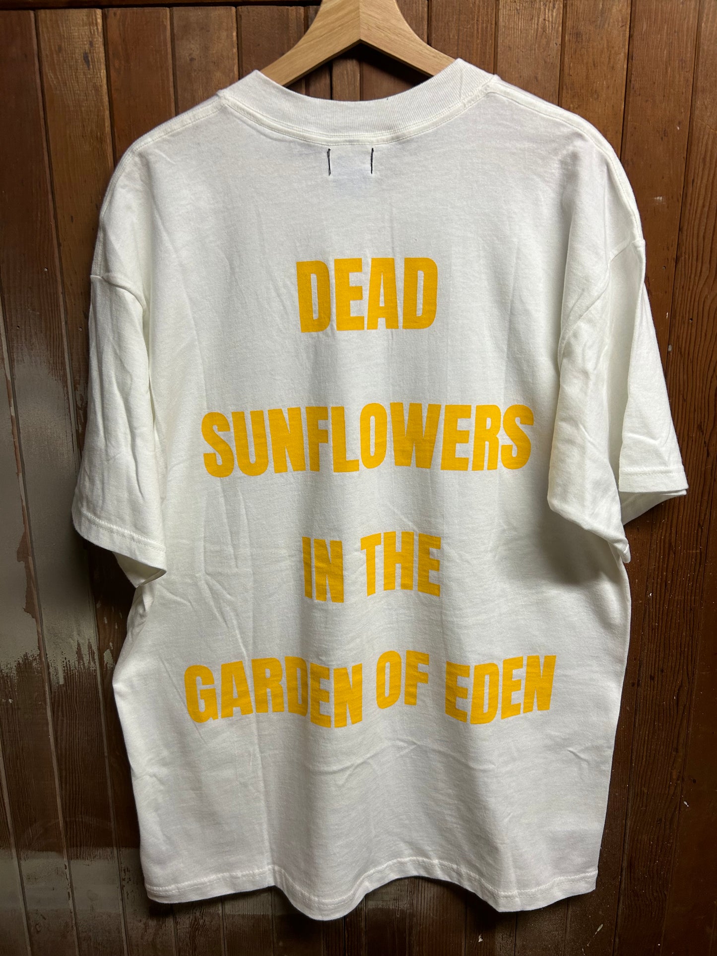 Dead Sunflowers