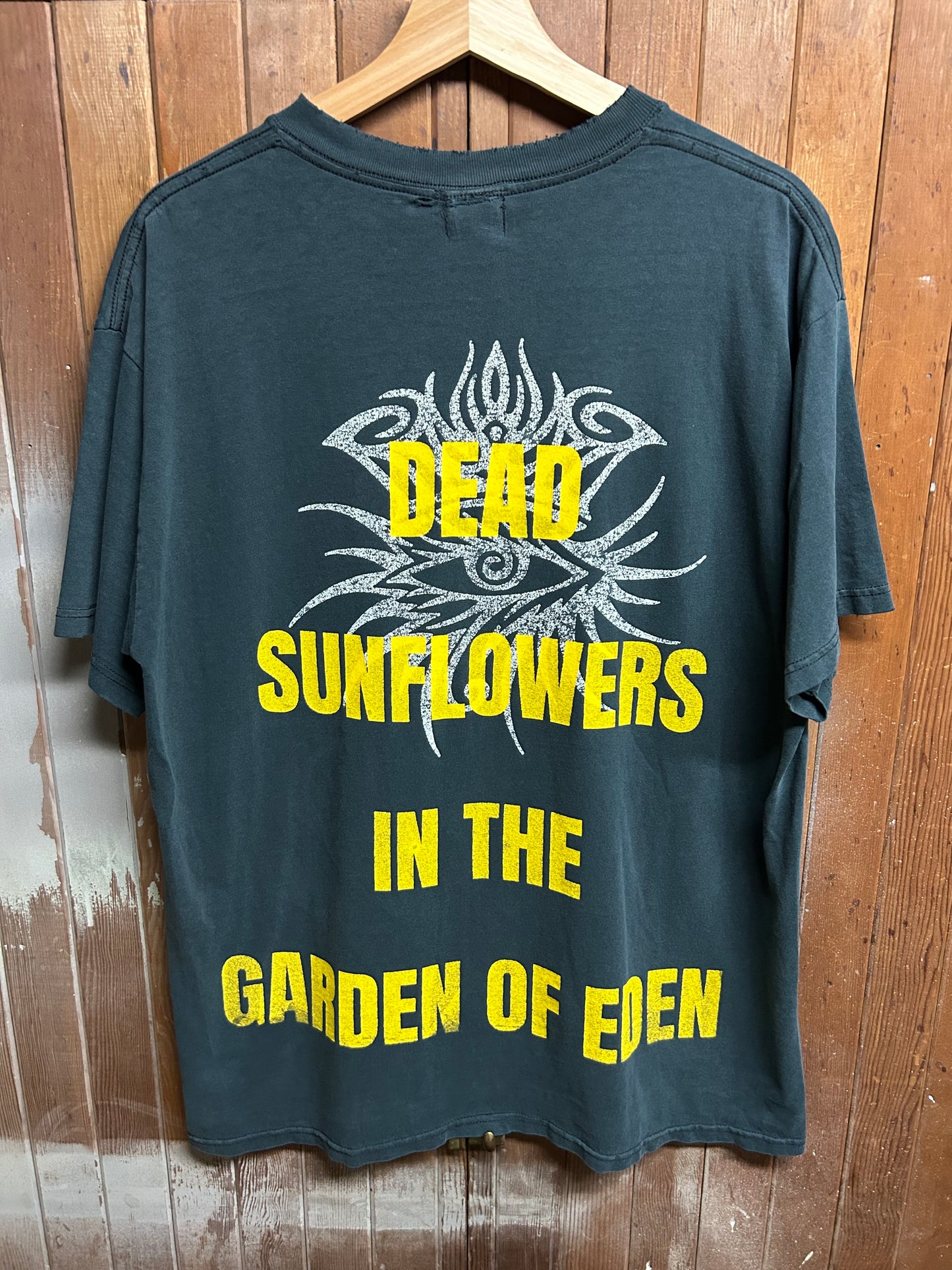Dead Sunflowers
