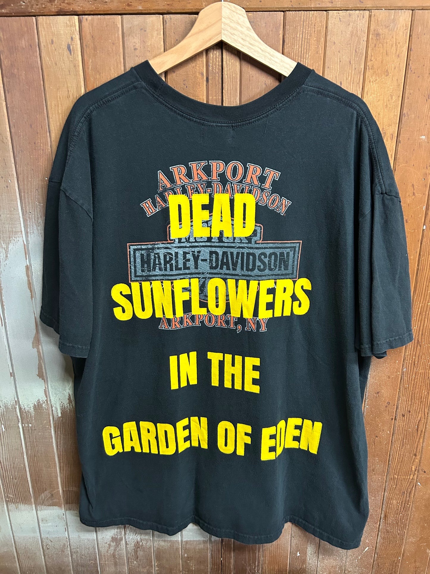 Dead Sunflowers